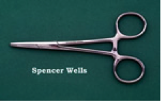 Spenser Wells